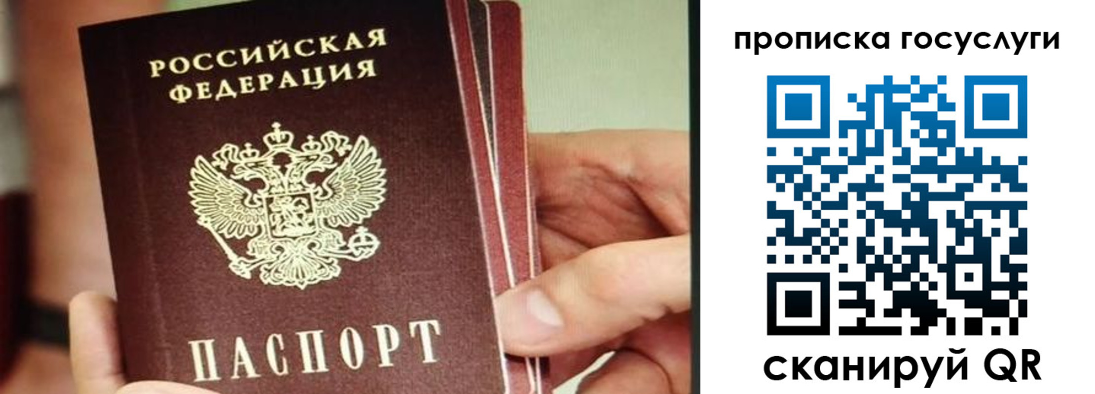пропишу в квартире в Московской области